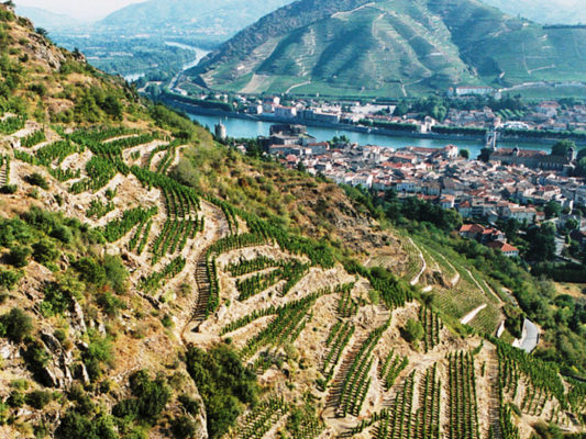 Rhone Valley