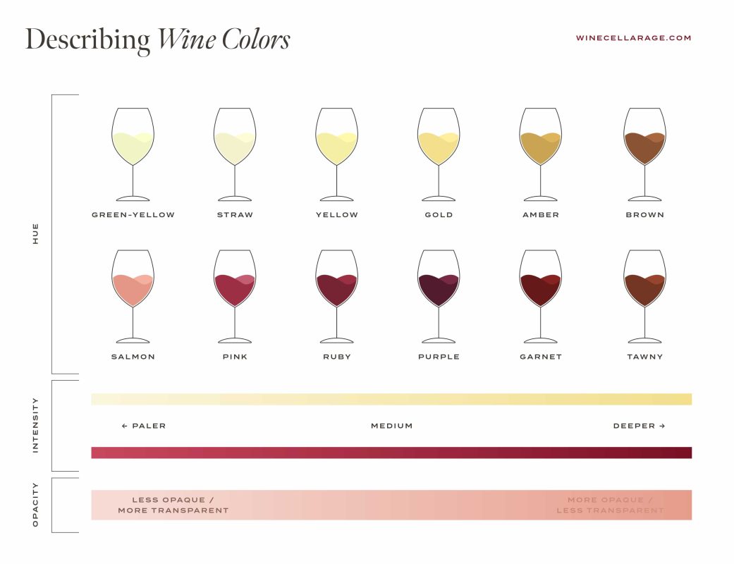 A Guide to The Color of Wine (and what it can tell you) The Wine